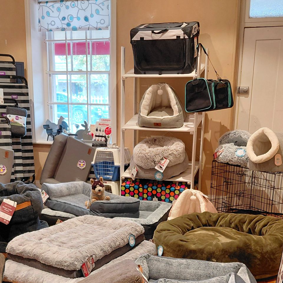 Cat caves, carriers and dog beds by the window in the shop’s bedding room