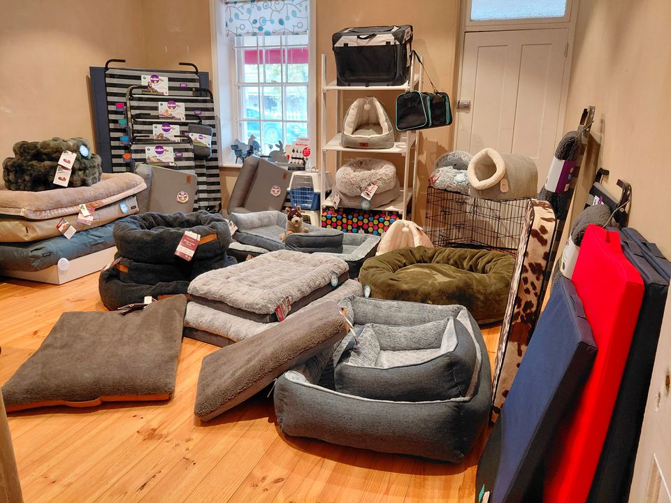 The bedding room: dog beds, mats, cat caves, crates and carriers