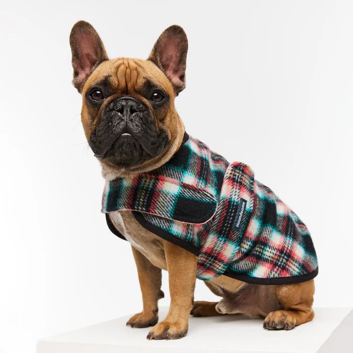 A French bulldog wearing a Houndsome tartan sportcoat