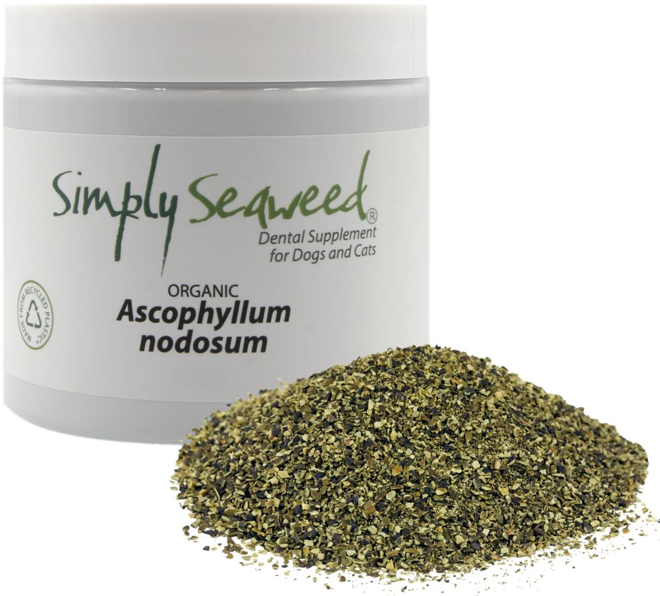 Simply Seaweed natural dental supplement for dogs and cats