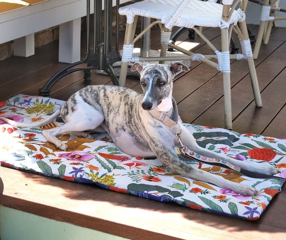 A brindle whippet stretched out on a floral dog mat at a café